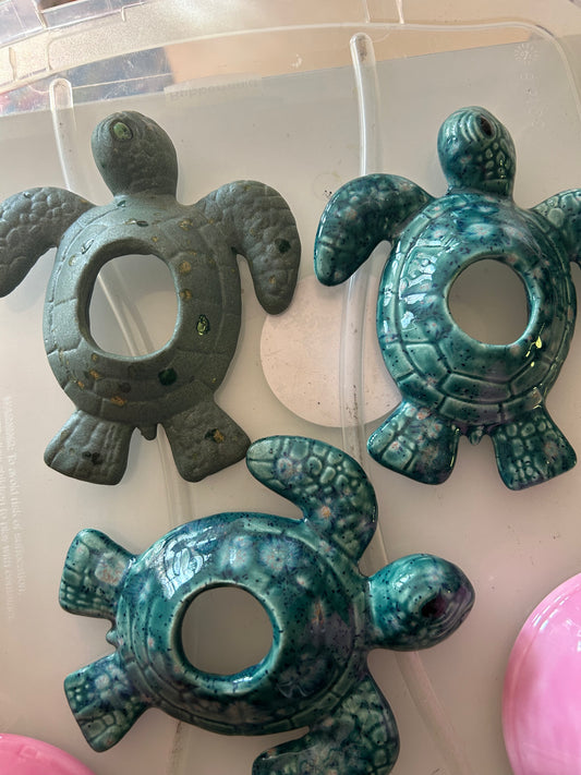 Little turtles